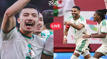 مواجهة قوية الجزائر والكونغو الديمقراطية.. رابط بث مباشر أمم إفريقيا